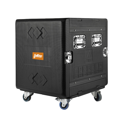 PE 20 &quot;Głębokość 14U Flight Rack Case z kółkami Dwie osłony